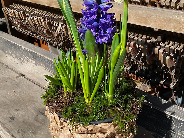 Композиція &numero;12