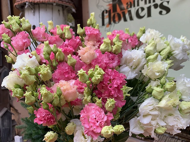 Еустома мікс