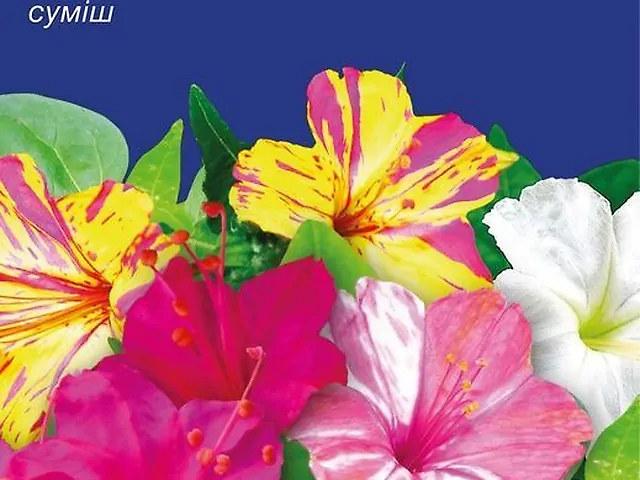 Насіння Мірабіліс суміш