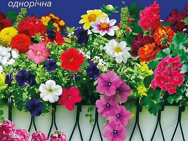 Насіння квіткова суміш