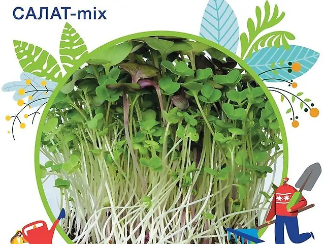 Насіння Мікрогрін Салат мікс