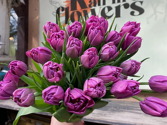 Тюльпан &numero;20