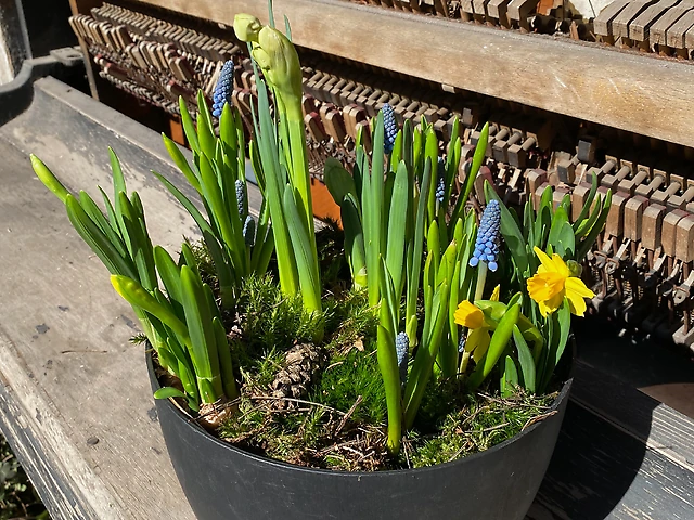 Композиція &numero;14