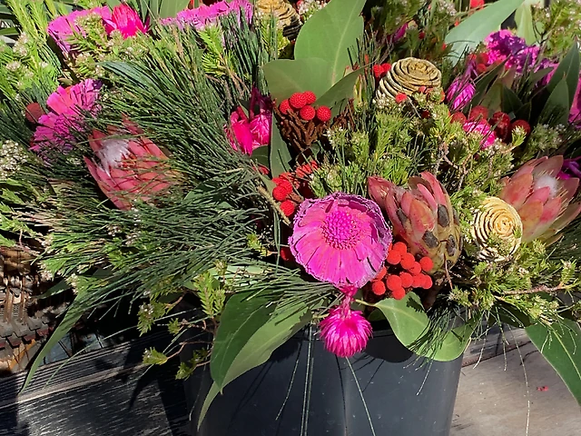 Протея набір