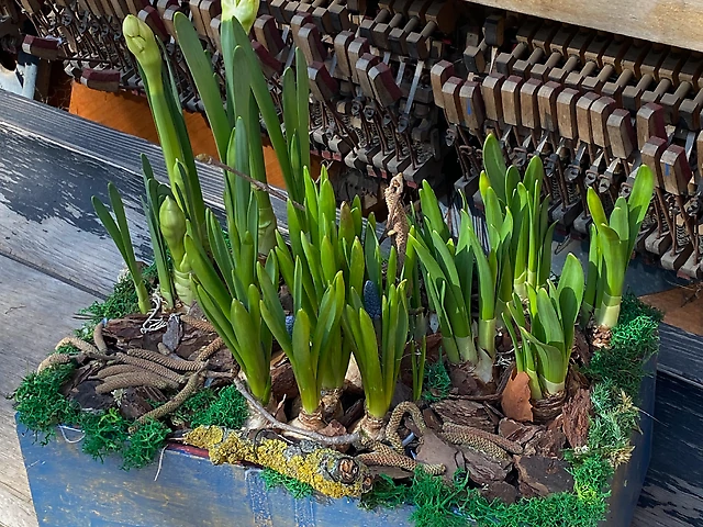 Композиція &numero;2