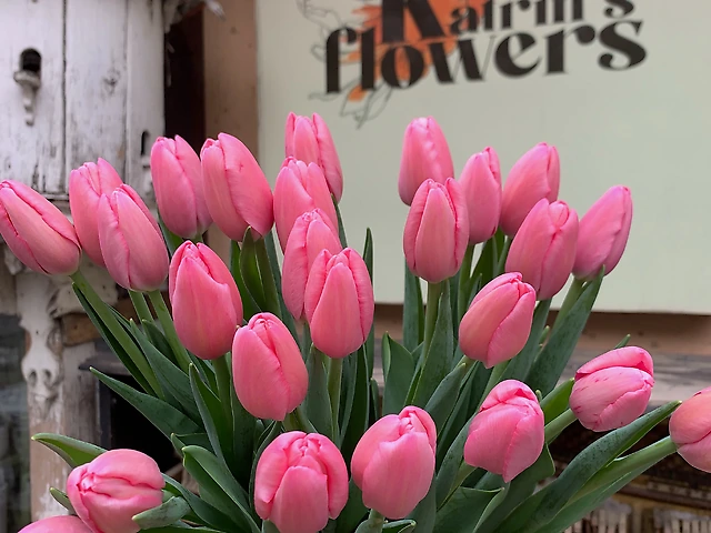 Тюльпан &numero;14