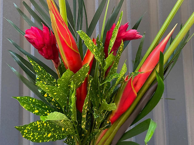 Геліконія букет