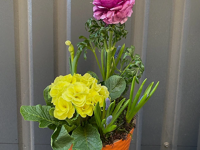 Композиція &numero;8