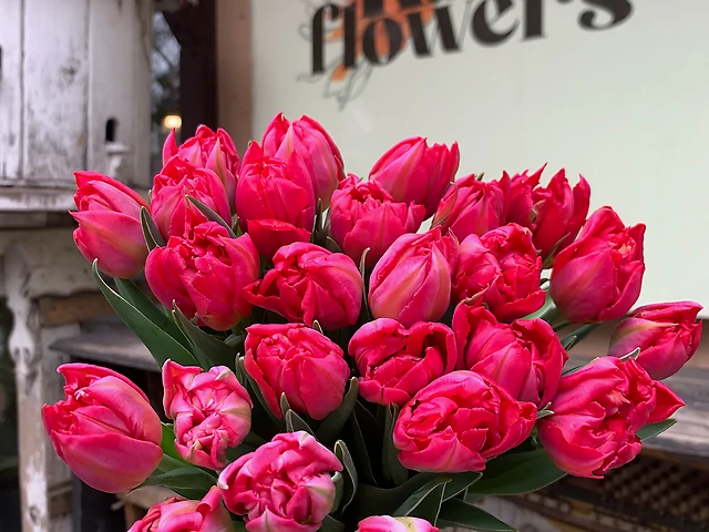 Тюльпан &numero;15