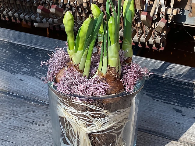 Композиція &numero;6