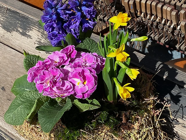 Композиція &numero;13