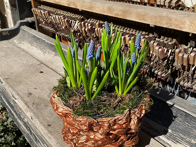 Композиція &numero;16