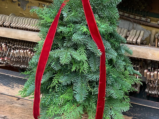 Ялинка збірна