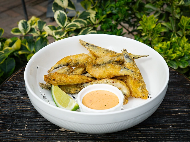 Цаца чорноморська