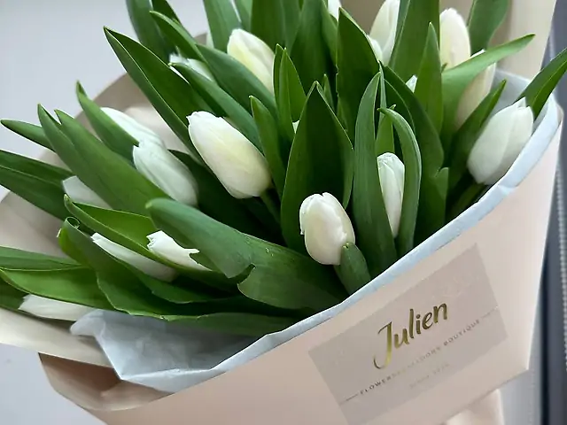 25 білих тюльпанів