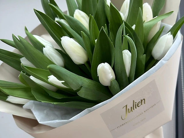 21 білий тюльпан