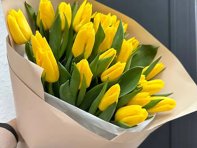 25 жовтих тюльпанів