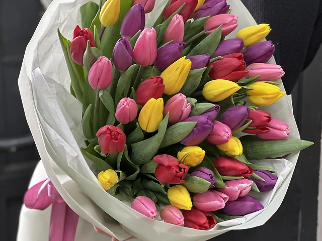 51 тюльпан