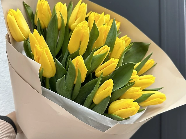 25 жовтих тюльпанів