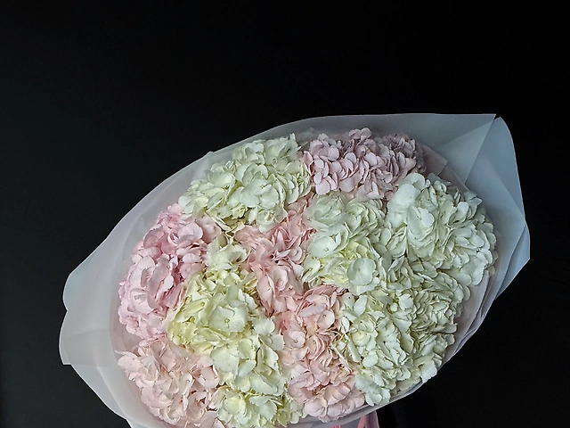 Букет з гортензій рожево-білих