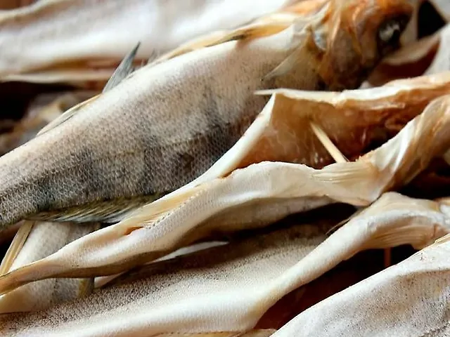 Судак цілий