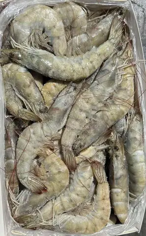 Креветка с/м 20/30, сира, з головою (IQF) вага.