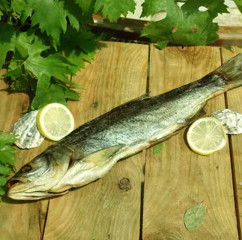 Жерех вялений вага.