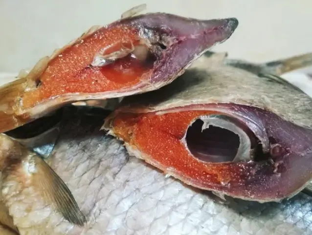 Тарань вялена з ікрою вага.