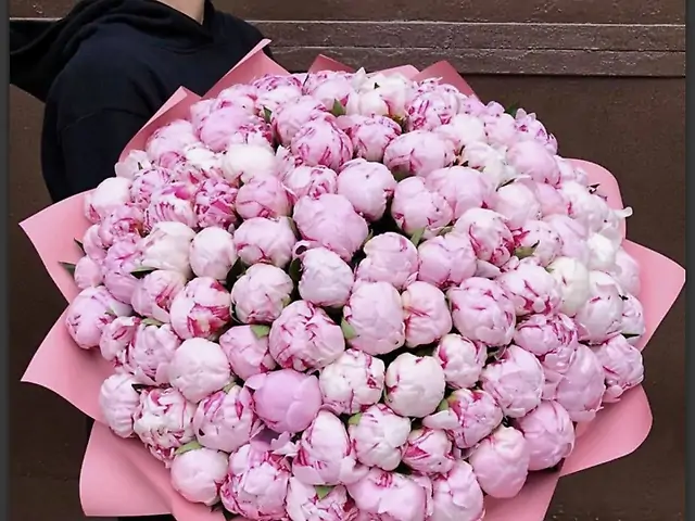 71 рожевий піон