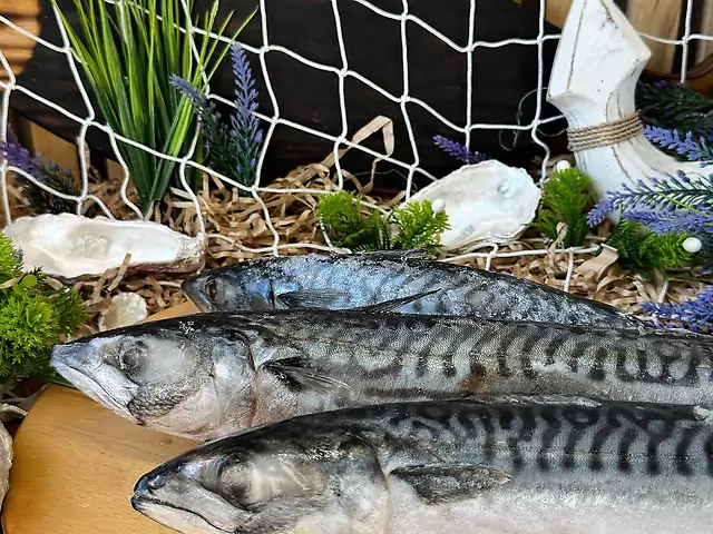 Скумбрія 400-600 с/м кг