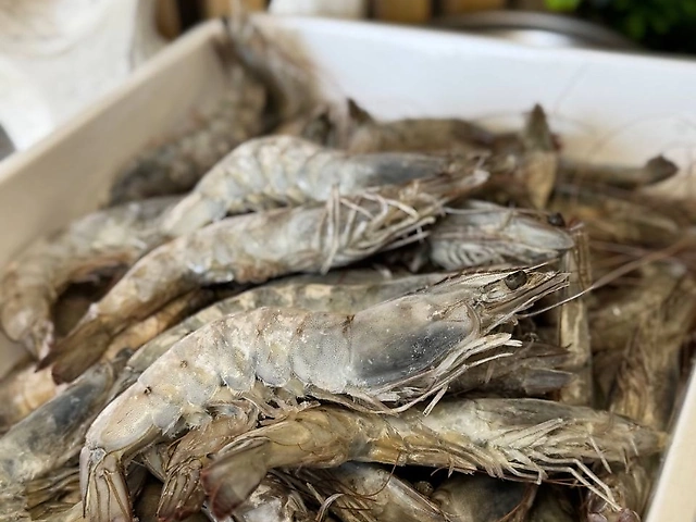 Креветка тигрова Еквадор 21-30 с/г кг