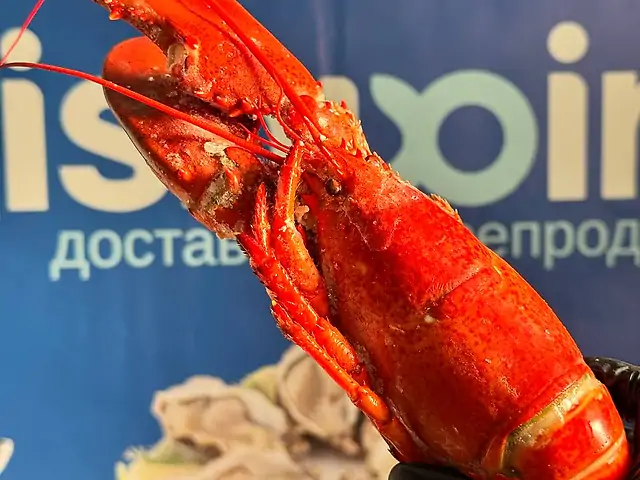 Лобстер варено-морожений