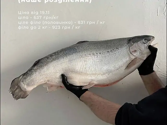 Форель ціла охолоджена кг