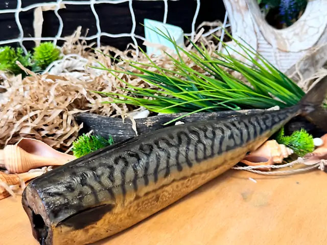 Скумбрия 500   х/к кг