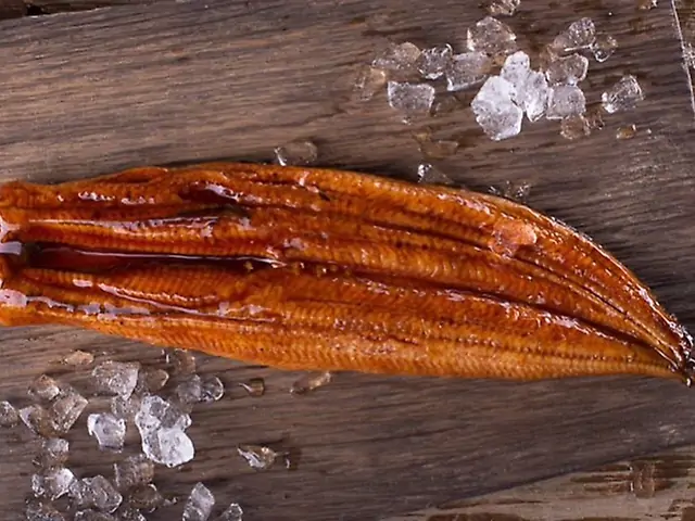 Вугор с/м кг