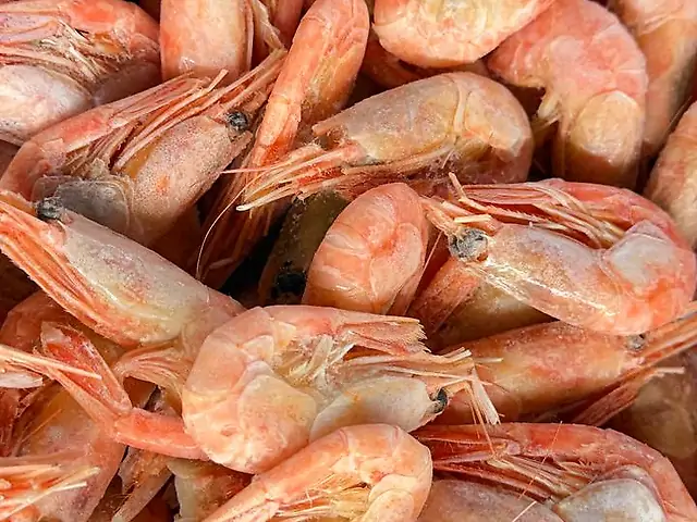 Креветка варено-морожена  Гренландія  200+ кг
