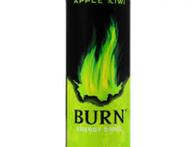 Burn Яблуко Ківі ЖБ 0,25 (Енергетичний напій)