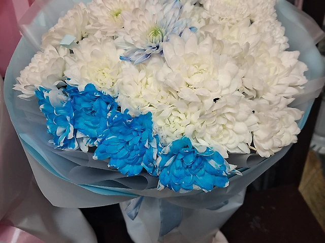 Хризонтема