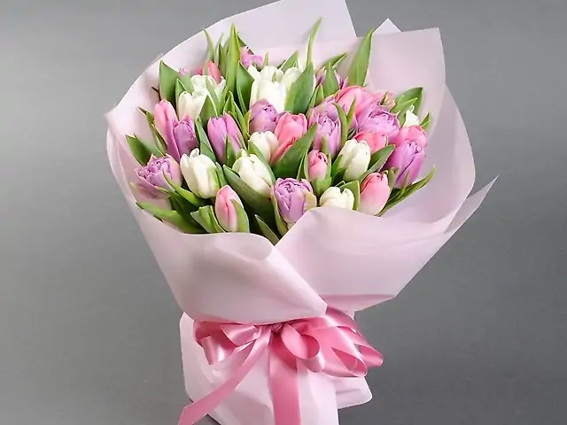 Мікс тюльпана