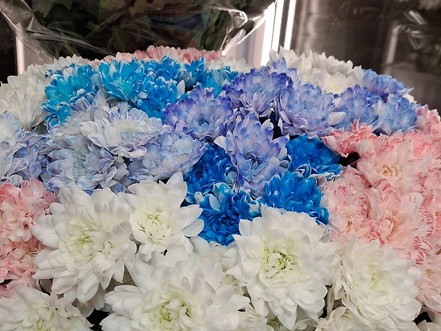 Хр- ма зембла