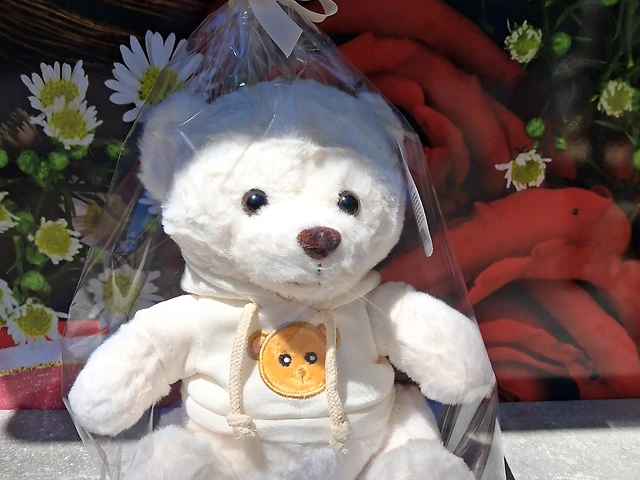 Мішка в білі  кофті