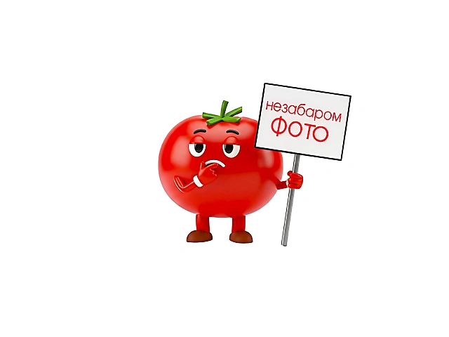 Локшина фунчоза з кальмаром