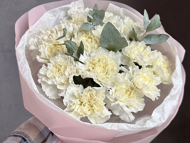 Моно букет з діантусів