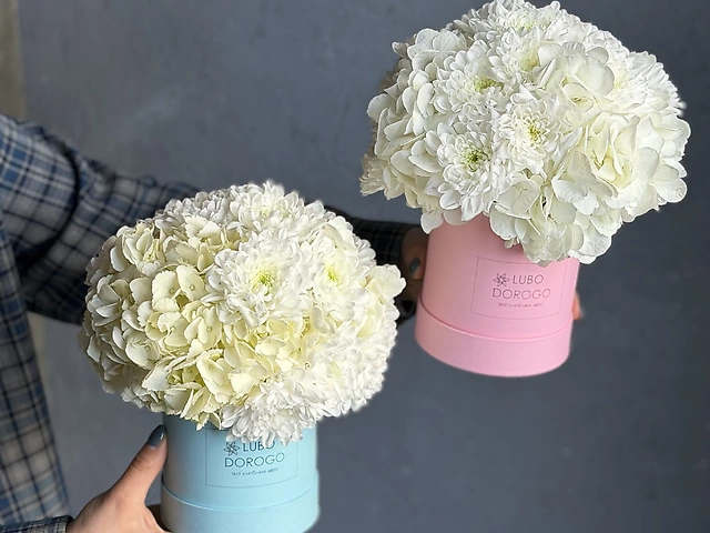 Бокс в розмірі S з гортензією та хризантемою