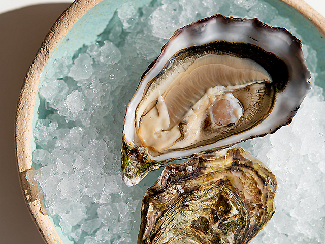 Ostra Regal Special