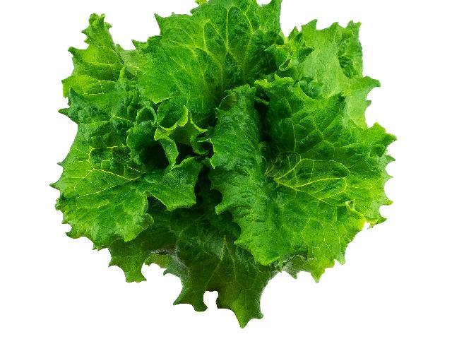 Свежый зеленый салат