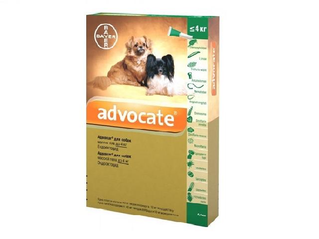 Адвокат, краплі від бліх, гельмінтів і вушного кліща для собак вагою до 4кг (Advocate flea and wormer spot on treatment for dogs up to 4kg)