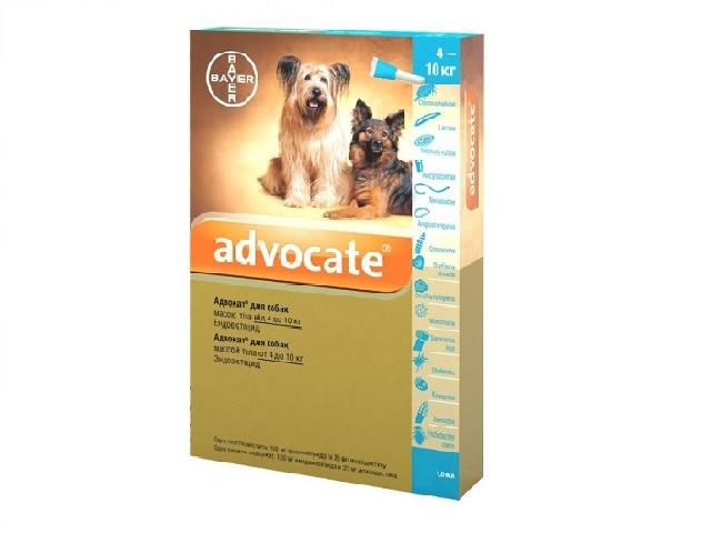 Адвокат, краплі від бліх, гельмінтів і вушного кліща для собак вагою 4-10кг (Advocate flea and wormer spot on treatment for dogs 4-10kg)