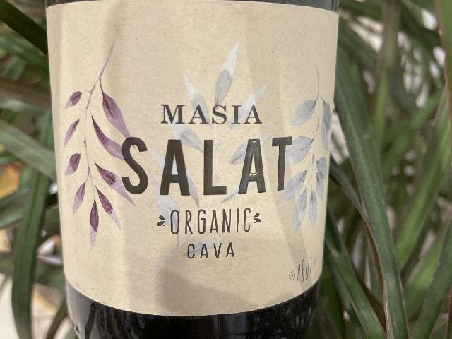 Masia Salat Cava Brut Organic, белое брют, 0, 75 л, Каталония, Испания (арт. 3171350)