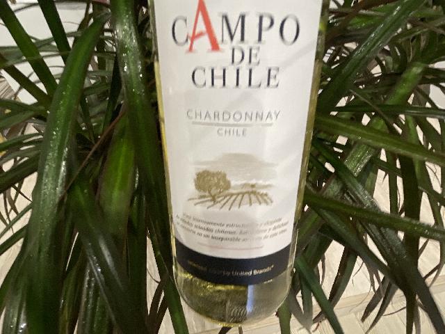 Campo de Chile Chardonnay, белое сухое (арт. 3628220)